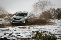 foto: Subaru Forester ECOhybrid 2019_16.JPG